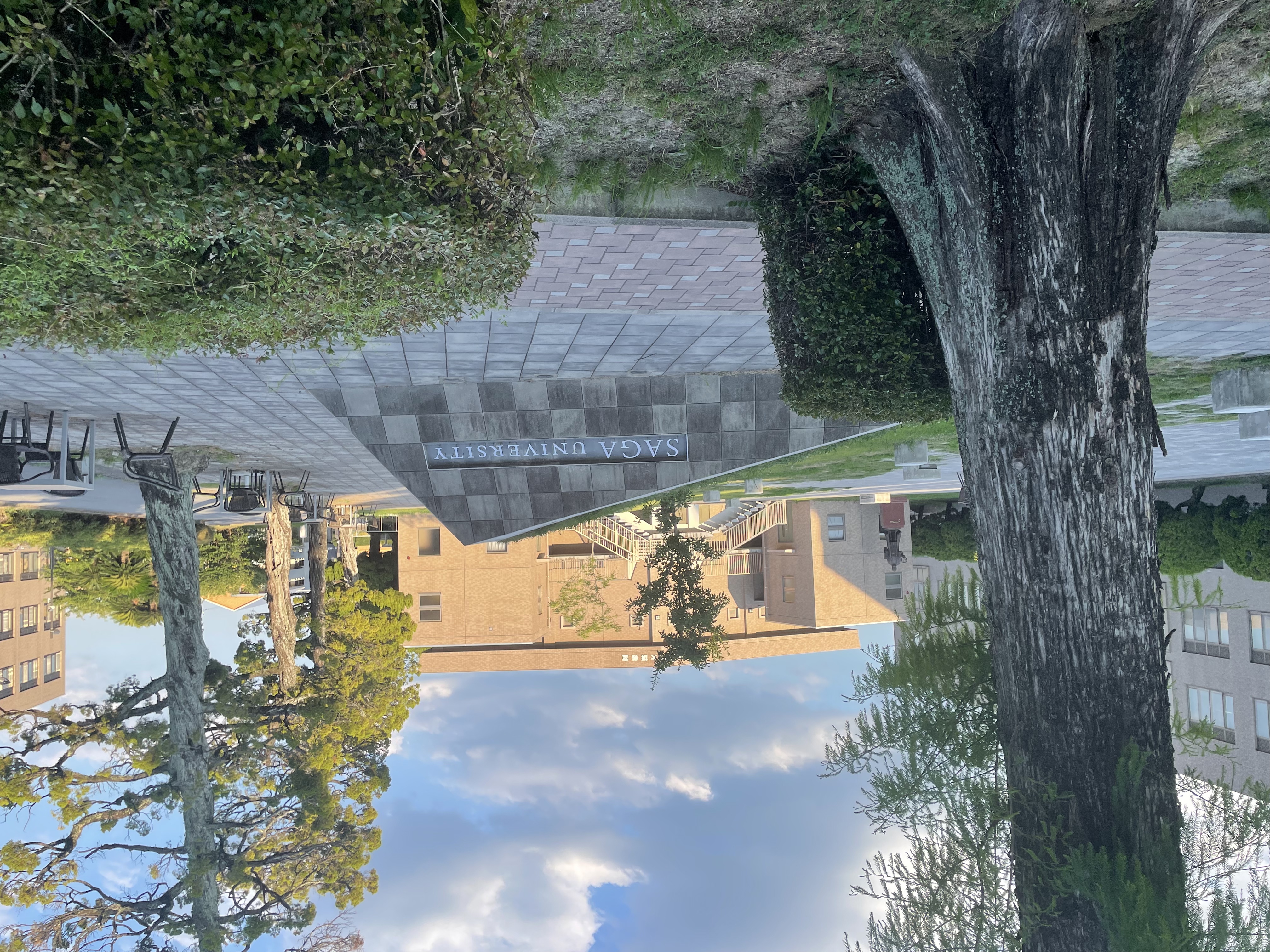saga university